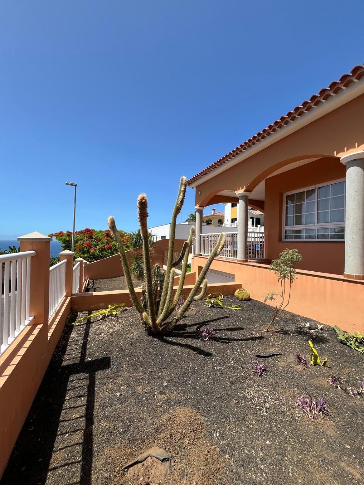 Chalet Piscina Privada Max 26º Jardin, Tranquilidad Caleta de Interián Eksteriør billede