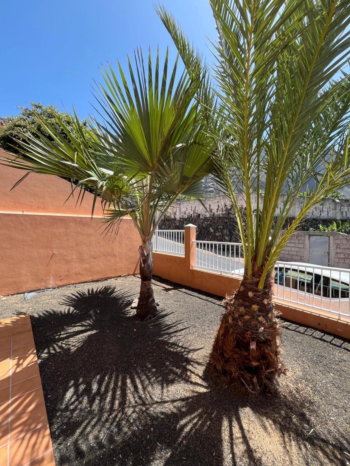 Chalet Piscina Privada Max 26º Jardin, Tranquilidad Caleta de Interián Eksteriør billede